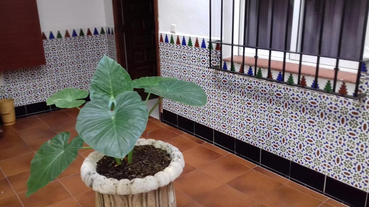 Patio Pompeyos Apartamento Córdova Exterior foto